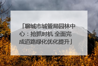 聊城市城管局园林中心：抢抓时机 全面完成道路绿化优化提升