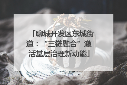 聊城开发区东城街道：“三链融合”激活基层治理新动能