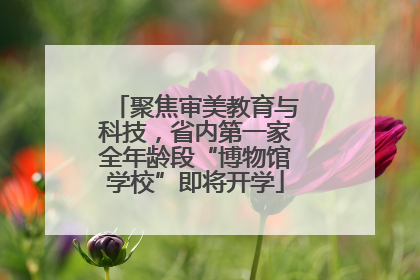 聚焦审美教育与科技，省内第一家全年龄段“博物馆学校”即将开学