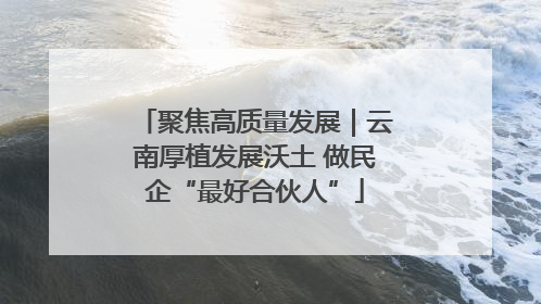 聚焦高质量发展｜云南厚植发展沃土 做民企“最好合伙人”