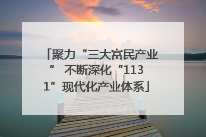 聚力“三大富民产业” 不断深化“1131”现代化产业体系