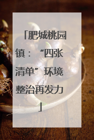 肥城桃园镇：“四张清单”环境整治再发力