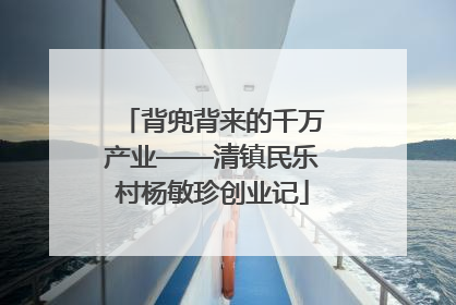 背兜背来的千万产业——清镇民乐村杨敏珍创业记