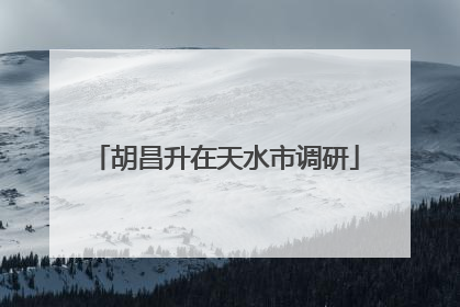 胡昌升在天水市调研