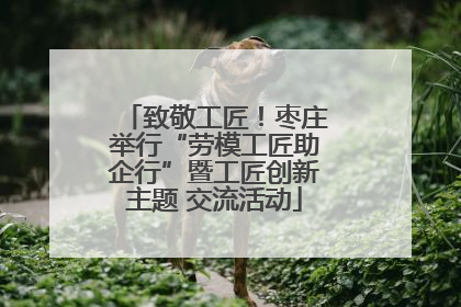 致敬工匠！枣庄举行“劳模工匠助企行”暨工匠创新主题 交流活动
