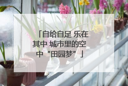 自给自足 乐在其中 城市里的空中“田园梦”