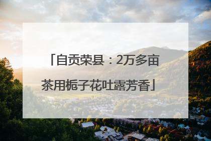 自贡荣县：2万多亩茶用栀子花吐露芳香