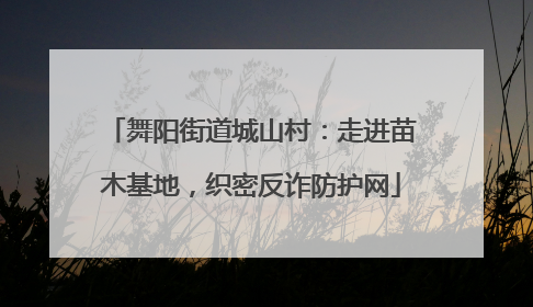舞阳街道城山村：走进苗木基地，织密反诈防护网