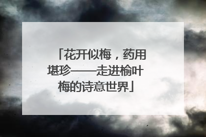 花开似梅，药用堪珍——走进榆叶梅的诗意世界