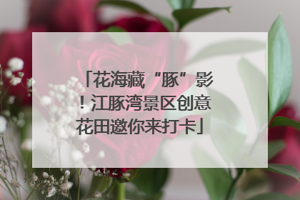 花海藏“豚”影！江豚湾景区创意花田邀你来打卡