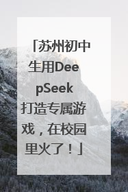 苏州初中生用DeepSeek打造专属游戏，在校园里火了！
