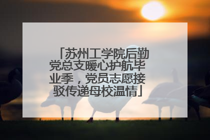 苏州工学院后勤党总支暖心护航毕业季，党员志愿接驳传递母校温情