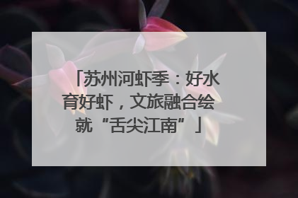 苏州河虾季：好水育好虾，文旅融合绘就“舌尖江南”
