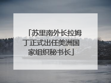 苏里南外长拉姆丁正式出任美洲国家组织秘书长