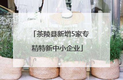 茶陵县新增5家专精特新中小企业