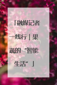 融媒记者一线行｜果蔬的“智能生活”