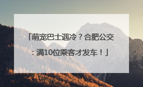 萌宠巴士遇冷？合肥公交：满10位乘客才发车！