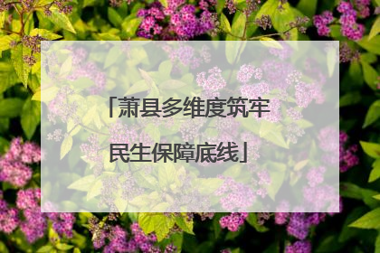萧县多维度筑牢民生保障底线