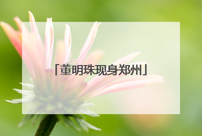 董明珠现身郑州
