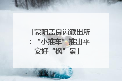 蒙阴孟良崮派出所：“小推车”推出平安好“枫”景