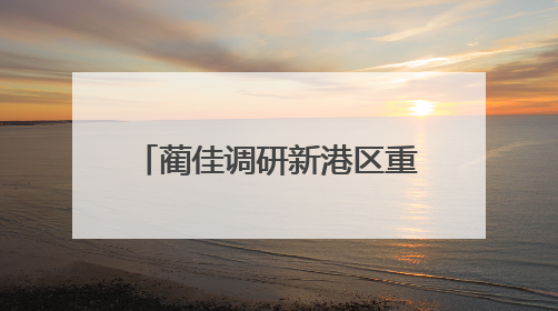 蔺佳调研新港区重点项目，强调协同发展与创新突破