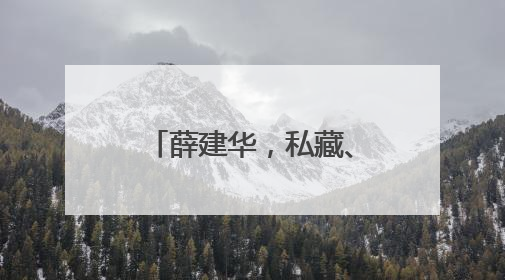 薛建华，私藏、浏览有严重政治问题的网络文章