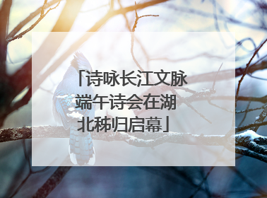 诗咏长江文脉 端午诗会在湖北秭归启幕