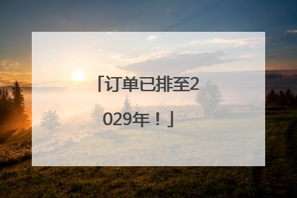 订单已排至2029年！