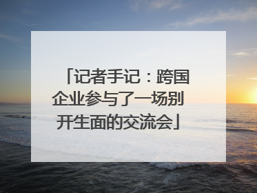 记者手记：跨国企业参与了一场别开生面的交流会