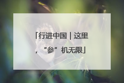 行进中国｜这里，“参”机无限