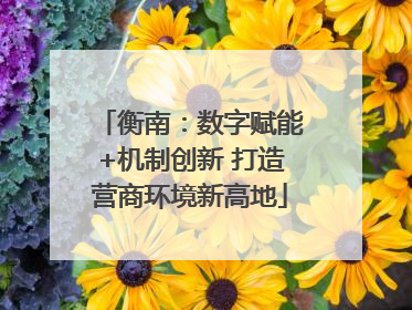 衡南：数字赋能+机制创新 打造营商环境新高地
