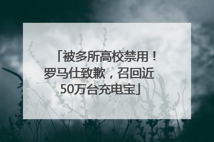 被多所高校禁用！罗马仕致歉，召回近50万台充电宝