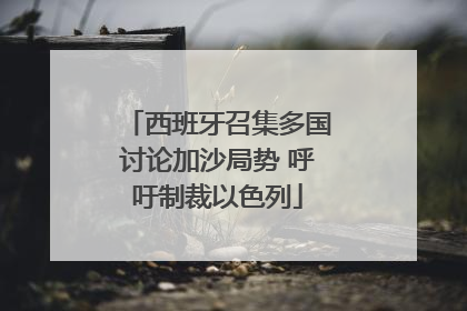 西班牙召集多国讨论加沙局势 呼吁制裁以色列
