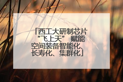 西工大研制芯片“飞上天” 赋能空间装备智能化、长寿化、集群化