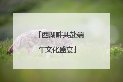西湖畔共赴端午文化盛宴