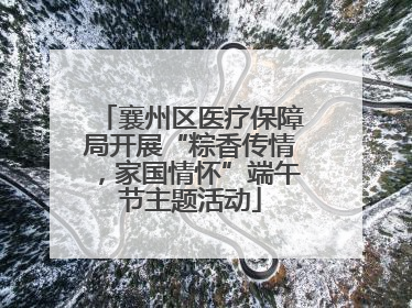 襄州区医疗保障局开展“粽香传情，家国情怀”端午节主题活动