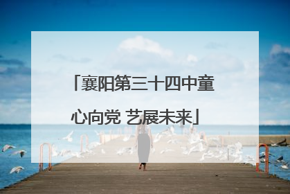 襄阳第三十四中童心向党 艺展未来