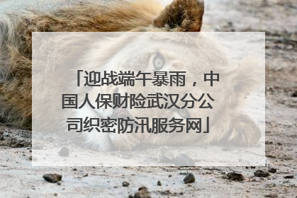 迎战端午暴雨，中国人保财险武汉分公司织密防汛服务网