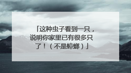 这种虫子看到一只，说明你家里已有很多只了！（不是蟑螂）