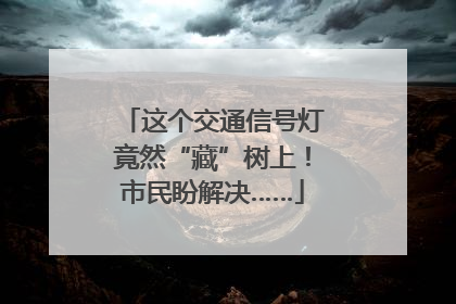 这个交通信号灯竟然“藏”树上！市民盼解决……