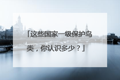 这些国家一级保护鸟类，你认识多少？