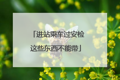进站乘车过安检 这些东西不能带