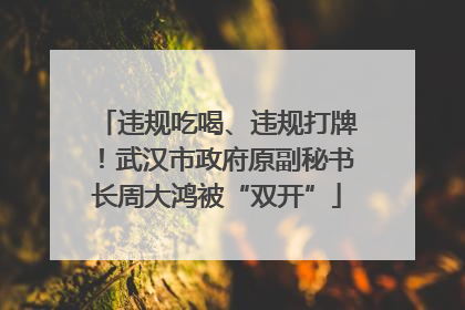 违规吃喝、违规打牌！武汉市政府原副秘书长周大鸿被“双开”