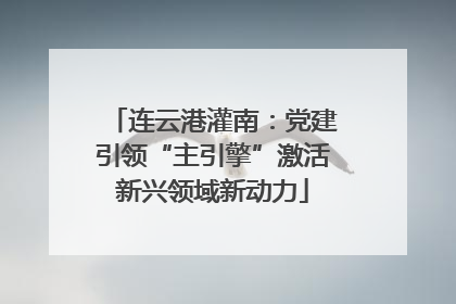 连云港灌南：党建引领“主引擎”激活新兴领域新动力