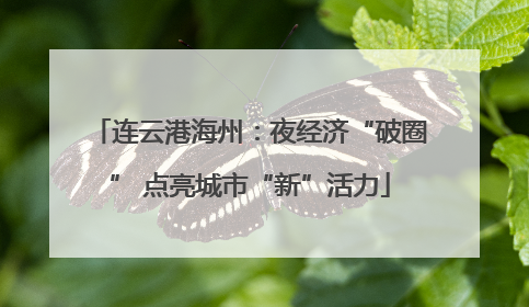 连云港海州：夜经济“破圈” 点亮城市“新”活力