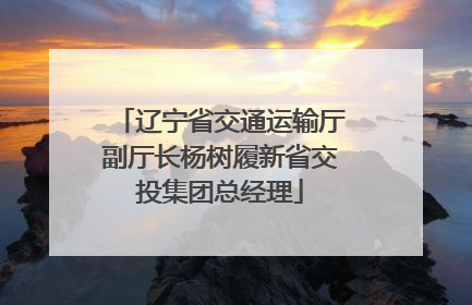 辽宁省交通运输厅副厅长杨树履新省交投集团总经理