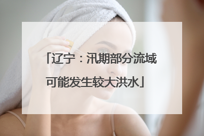 辽宁：汛期部分流域可能发生较大洪水