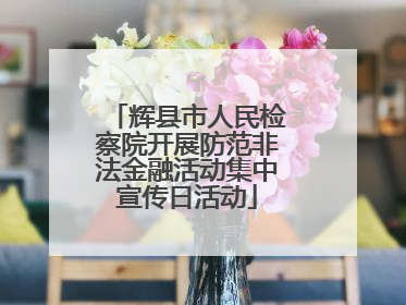 辉县市人民检察院开展防范非法金融活动集中宣传日活动