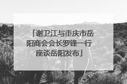 谢卫江与重庆市岳阳商会会长罗锋一行座谈岳阳发布