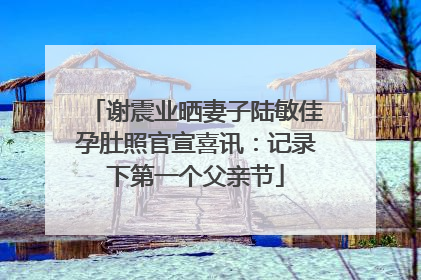 谢震业晒妻子陆敏佳孕肚照官宣喜讯：记录下第一个父亲节